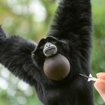 Profile Picture of Jacob Penrod (@tremos7014) on Instagram