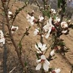 Profile Picture of Marisa Hernández Cuellar (@marisa_123h) on Instagram