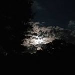 Profile Picture of samuel Maxwell (@sam___maxwell0101) on Instagram