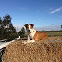 Profile Picture of Alex Erwin (@alex-erwin-28) on Quora
