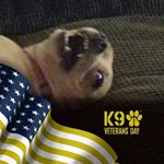 Profile Picture of Kurtis Moore (@kurtis.moore.716) on Instagram