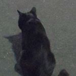 Profile Picture of 窈華蓉菁 (@rymelightknight) on Instagram