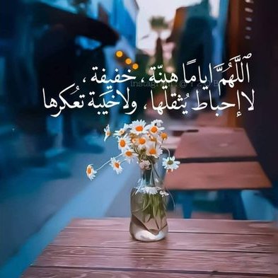 Profile Picture of Mahmoud El Gamil (@MahmoudElgamil9) on Twitter