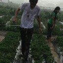 Profile Picture of joshua (@jzbotabalos) on Instagram