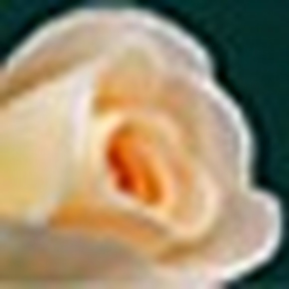 Profile Picture of Teresa Baistra (@072399eb) on Poshmark