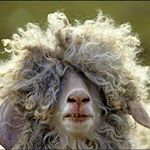 Profile Picture of John Kurek (@jkurek62) on Instagram