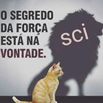 Profile Picture of Elza Elzatabordadamachada (@elzatabordadamachada) on Instagram