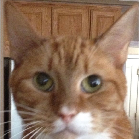 Profile Picture of Lena Ragona (@lragona) on Poshmark