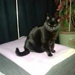 Profile Picture of Richard Hansen (@richard.hansen.7547) on Instagram