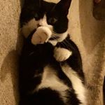 Profile Picture of Brendan Coen (@bfcoen) on Instagram