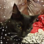 Stephanie Everett - Instagram Profile Picture of Stephanie Everett (@stephanie.r.everett) on Instagram