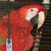 Profile Picture of Joy Strawbridge (@jestraw1) on Pinterest
