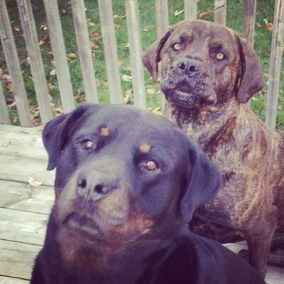 Profile Picture of Bryan Mccomb (@bryanjmccomb) on Twitter