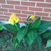 Profile Picture of Randall Cartwright (@randall.cartwright.14) on Facebook