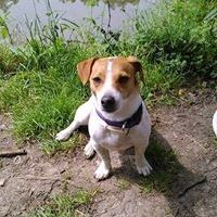 Profile Picture of Michaela Kotásková (@michaelakotskov) on Pinterest