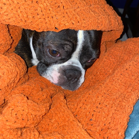 Profile Picture of Taylor Greer (@sahu0661) on Poshmark