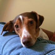 Profile Picture of John Shaver (@2WheelWallflower) on Youtube