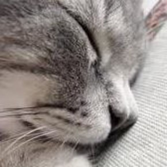 Profile Picture of Chris Reece (@mreece2035) on Poshmark