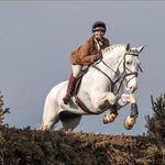 Profile Picture of Lisa Baker (@lisa_baker_equine_) on Instagram