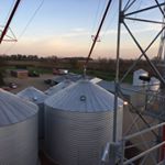Profile Picture of Dustin Walsh (@walshfarm) on Instagram