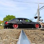 mikemalek ✪ - Instagram Profile Picture of mikemalek ✪ (@mikemalek) on Instagram