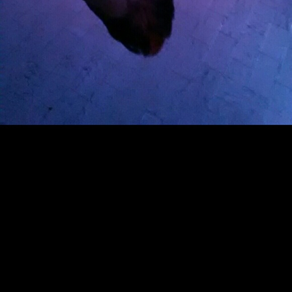 Profile Picture of Lakendra Martin (@misskenni) on Poshmark