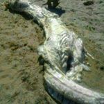 Profile Picture of Paul Gonzales (@paulgonzales1741) on Instagram