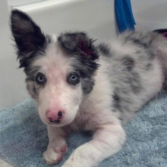 Profile Picture of Kameron Phillips (@slopedope) on Poshmark