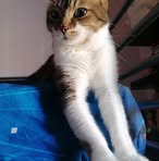 Profile Picture of James Willemsen (@James-Willemsen) on Facebook