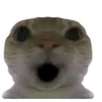 Daniel Janota - Facebook Profile Picture of Daniel Janota (@Daniel-Janota) on Facebook