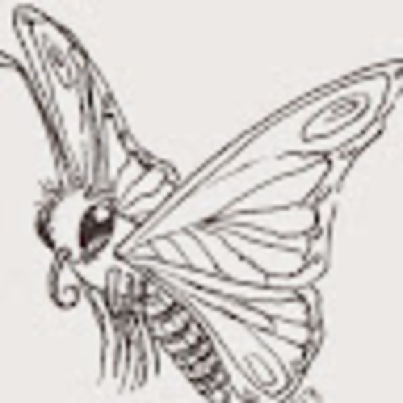 Profile Picture of Sarah Manfield (@sareymanfield) on Poshmark