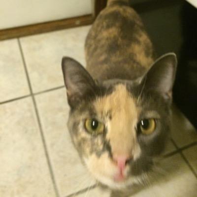 Profile Picture of Elizabeth Flanders (@@xXLizzx24) on Twitter