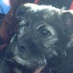 Profile Picture of Piper Renee Hill (@piper126) on Instagram