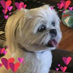 Profile Picture of Cora Terry (@cora.terry.336) on Instagram