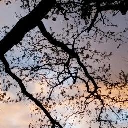 Profile Picture of Deb Weir (@DebWeir13) on Twitter