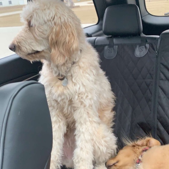 Profile Picture of Chase Ebbinghouse (@crebbinghouse) on Poshmark