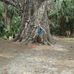 Profile Picture of Bruce Hageman (@bruce.hageman.1) on Facebook