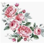 Profile Picture of Aimee Aiello (@emilyrose8257) on Instagram