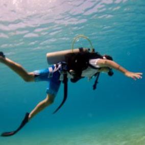 Profile Picture of Nicholas Silvani (@nicholas.silvani) on Facebook