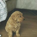Profile Picture of krystal.keyrina (@krys.key) on Instagram