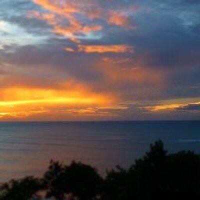 Profile Picture of AvrilLloyd (@AvrilLloyd) on Twitter