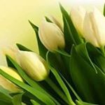 Profile Picture of Amjad Rasheed (@amjad0323) on Instagram