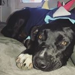 Profile Picture of MARTIN POWER⚡️🍃🍂🌿☀️ (@muttmartin) on Instagram