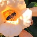 Profile Picture of John Lauerman (@johnlauerman) on Instagram