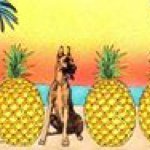 Profile Picture of Anne Schuster (@aschunapa) on Instagram