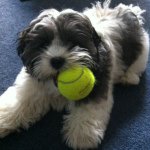 Profile Picture of Sharon Hadley (@mac_a_tooney) on Instagram