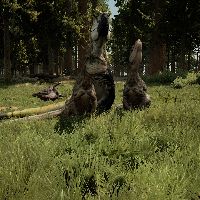 Profile Picture of Joshua Wolfe (@onepumpstump) on Tiktok