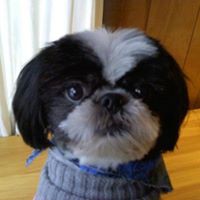 Profile Picture of Kim Beedle (@kim-beedle-2) on Quora