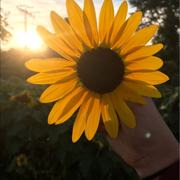 Profile Picture of Isabella Kostyal (@bellak013) on Poshmark