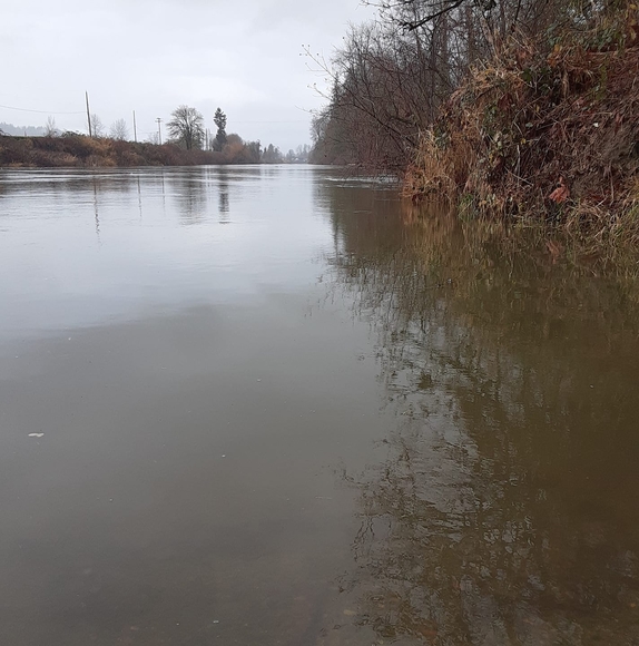 Profile Picture of Daniel Zeiler (@zeilerdaniel) on Poshmark